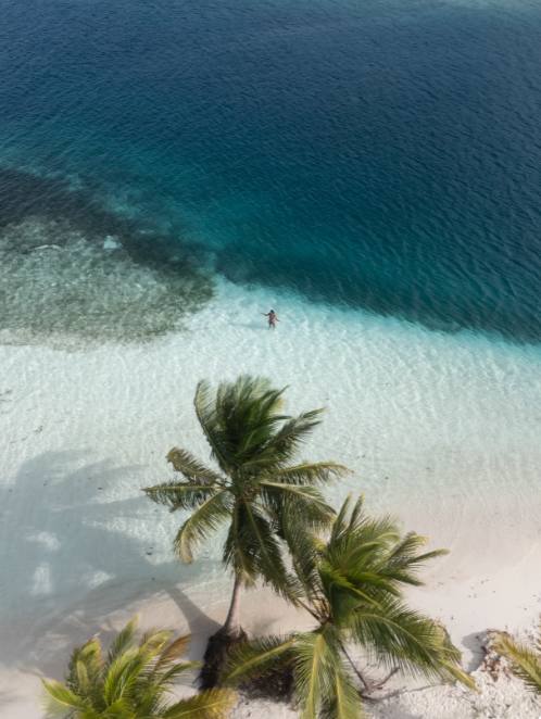 Aerial of a guest wading into turquoise shallows beside palm trees on a white beach