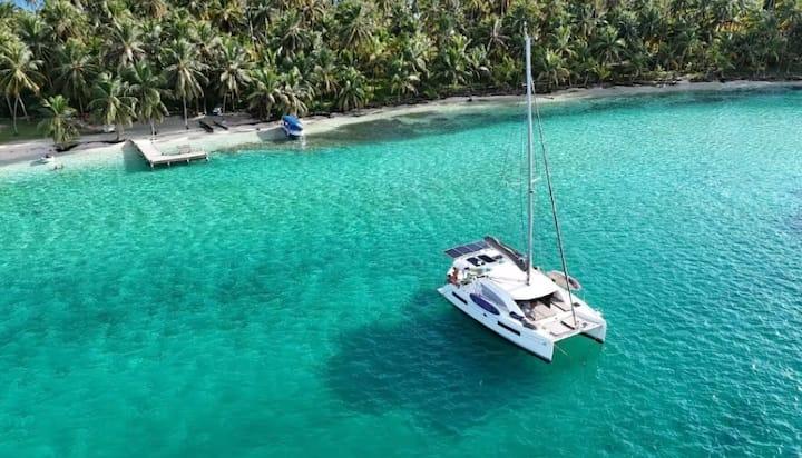 The catamaran anchored over turquoise water by a palm island